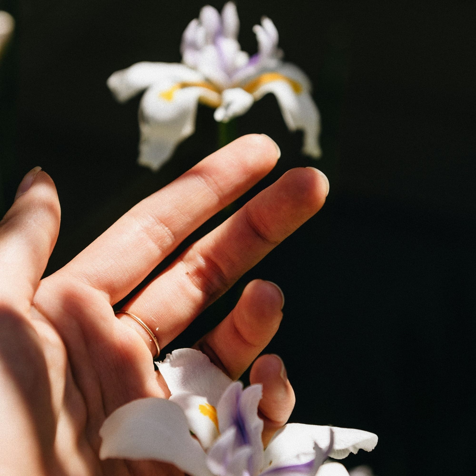 white and yellow flowers on persons hand